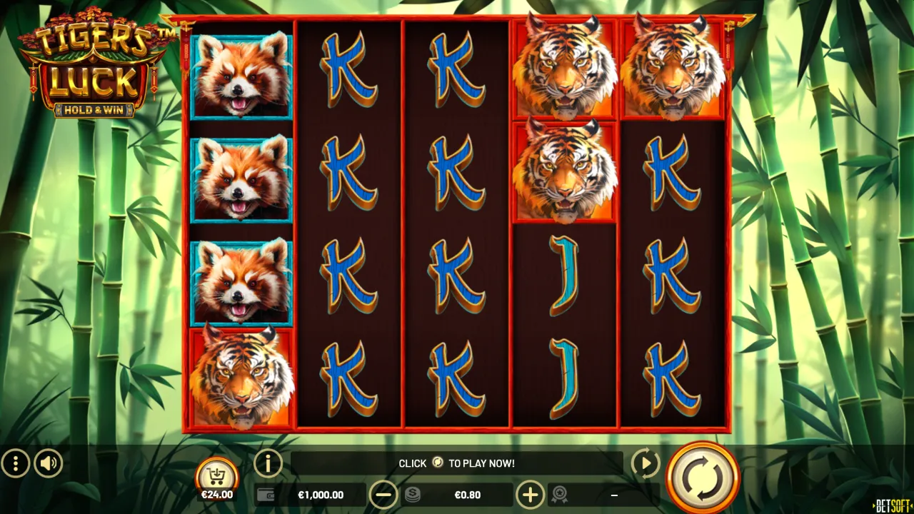 Tiger’s Luck – HOLD & WIN