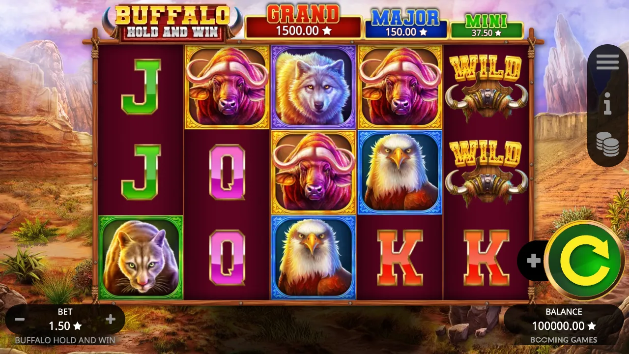 Buffalo Hold And Win