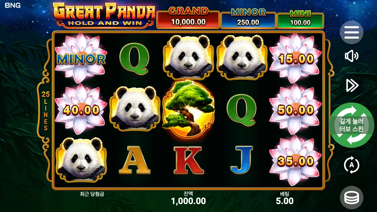 Great Panda: Hold and Win