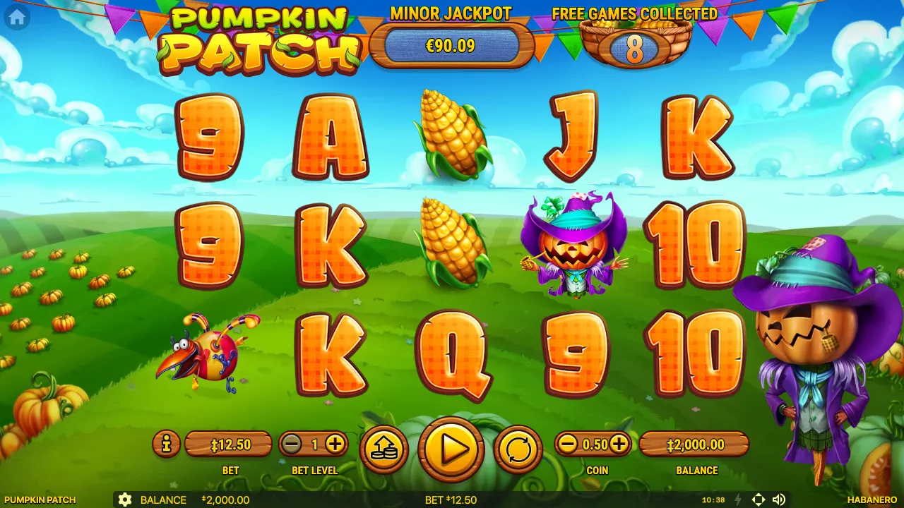 Pumpkin Patch