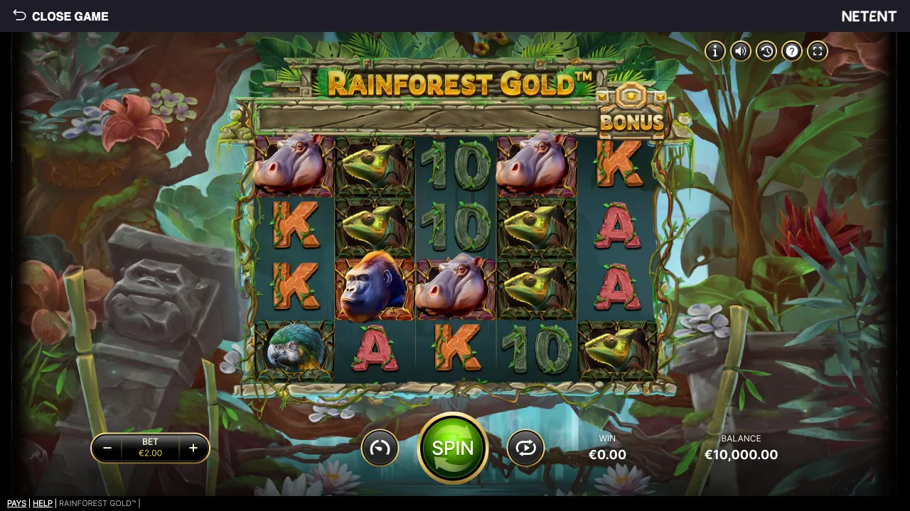 Rainforest Gold™