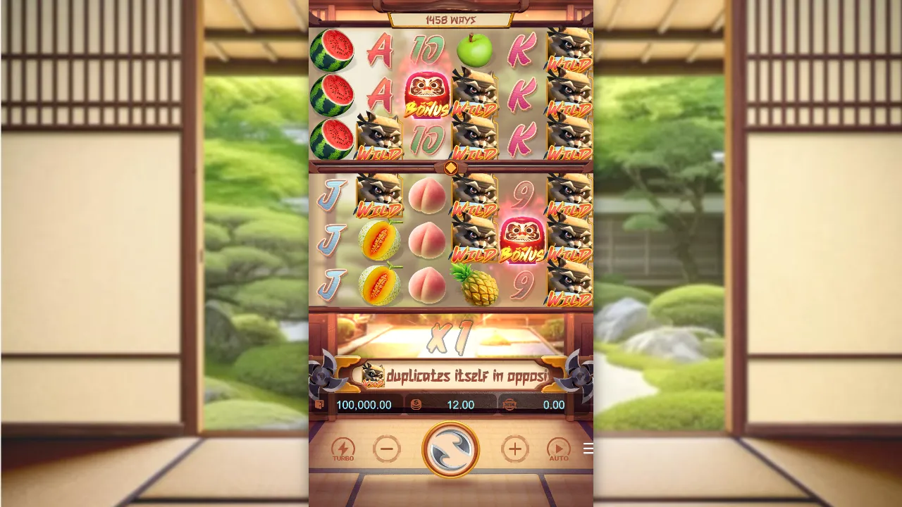 Ninja Raccoon Frenzy