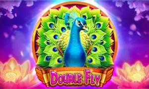 Double Fly