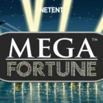 Mega Fortune™
