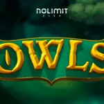 Owls