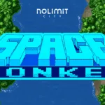 Space Donkey