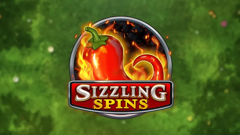 Sizzling Spins