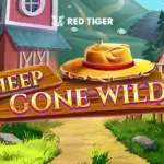 Sheep Gone Wild