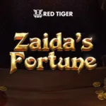 Zaida’s Fortune